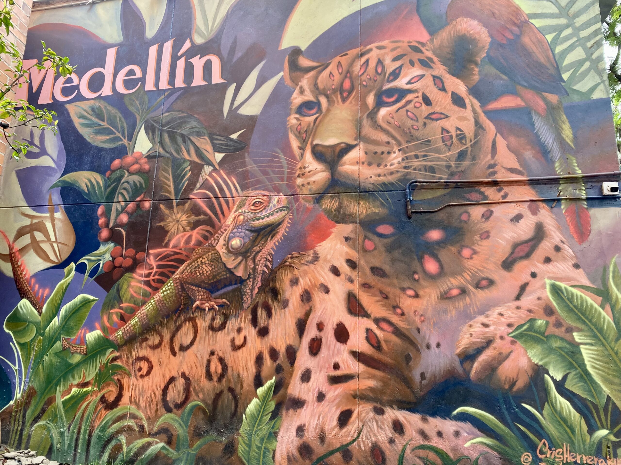 Medellín